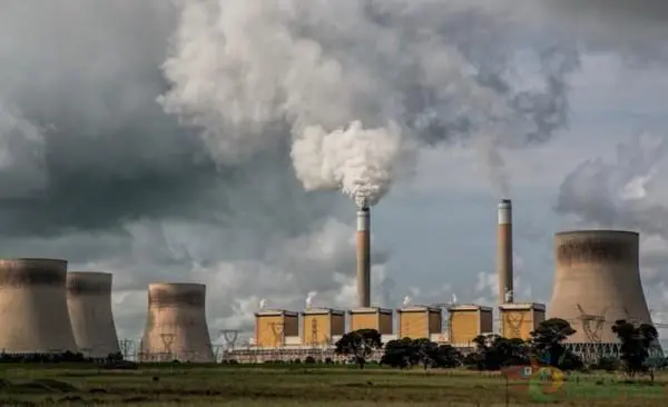 印度造紙行業(yè)的現(xiàn)狀、風(fēng)險(xiǎn)和發(fā)展機(jī)遇