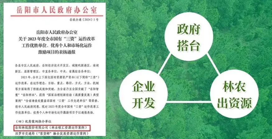 岳陽林紙2023年實現(xiàn)營收86.41億元 碳匯業(yè)務崛起成為新增長極