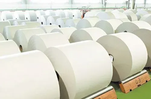 從2023年紙廠、紙機、產能與消費量看歐洲造紙業的大洗牌！