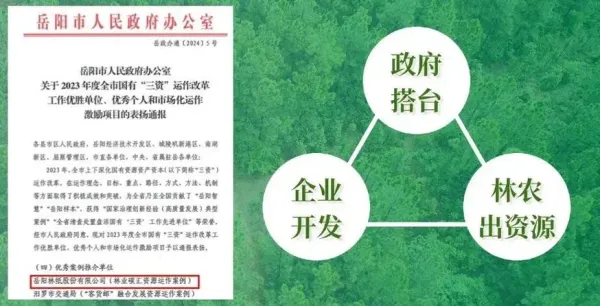 岳陽林紙2023年實現(xiàn)營收86.41億元 碳匯業(yè)務(wù)崛起成為新增長極